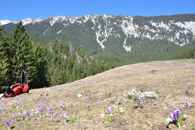 Piatra Craiului National Park Private Hiking Tour from Brasov - Lunch in the mountains, with one important warning