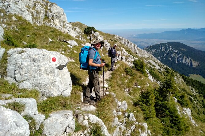 Piatra Craiului National Park Private Hiking Tour from Brasov - What a winter hike is really like