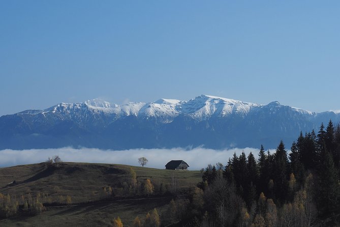 Piatra Craiului National Park Private Hiking Tour from Brasov - Does $126.98 offer good value?