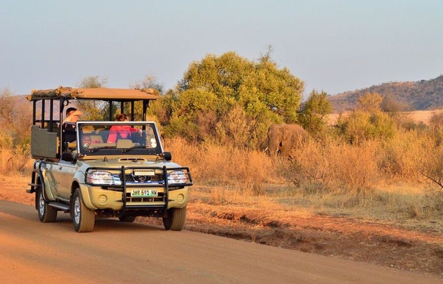 Pilanesberg Full-Day Shared Safari with Sun City Visit - Entering Pilanesberg’s ancient volcanic crater