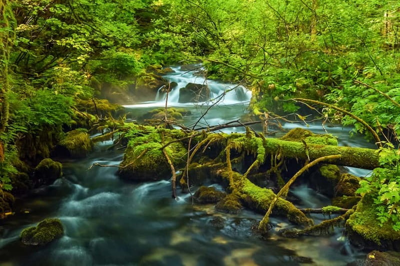Plitvice Lakes: Guided Walking Tour with Bus and Boat Ride - The 20-minute electric-boat ride