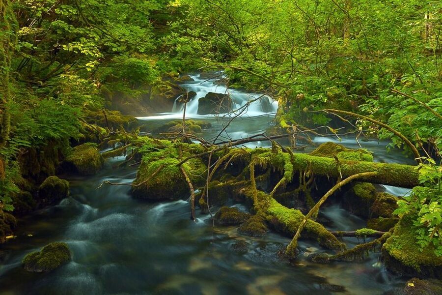 Plitvice Lakes Private Guided Tour - Who should book this Plitvice tour?