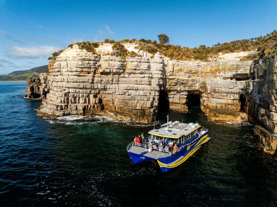 Port Arthur: Cape Raoul Wilderness Cruise - Seals, dolphins, birds, and possible whales
