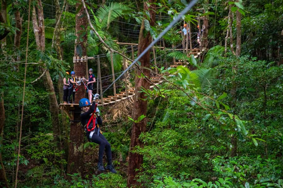 Port Douglas: Daintree National Park Tour, Cruise, & Zipline - Walking where rainforest meets reef
