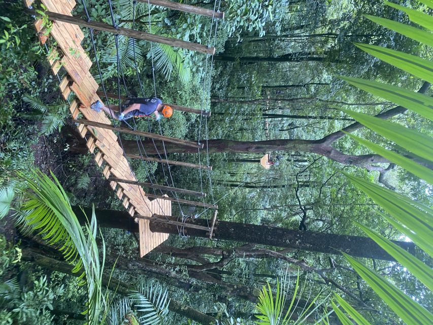 Port Douglas: Daintree National Park Tour, Cruise, & Zipline - Who should book this experience?