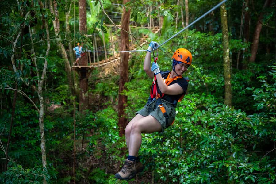 Port Douglas: Daintree National Park Tour, Cruise, & Zipline - From Port Douglas to Alexandra Lookout