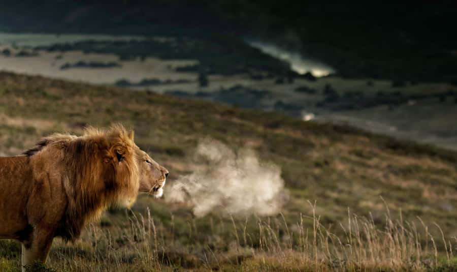 Port Elizabeth: 2-Day Addo Elephant Park Safari - The Sundays River and Alexandria Dune Field