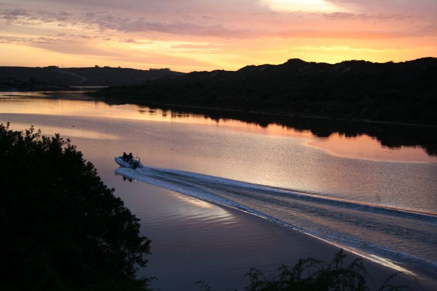 Port Elizabeth: 2-Day Addo Elephant Park Safari - The giraffe tracking activity