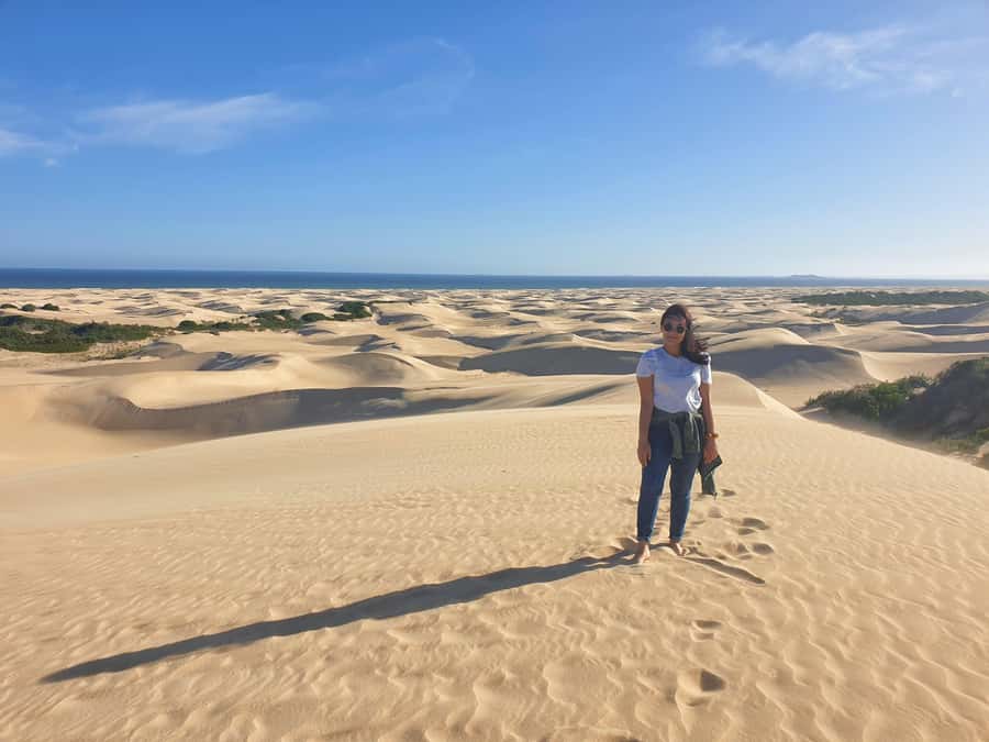 Port Elizabeth: 2-Day Addo Elephant Park Safari - Timing, comfort, and practical details