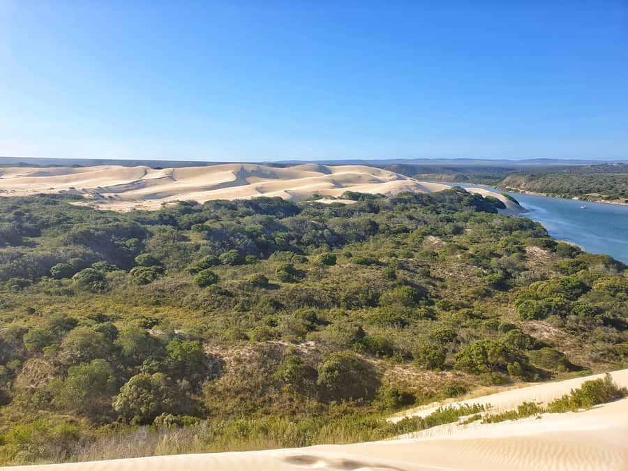 Port Elizabeth: 2-Day Addo Elephant Park Safari - Day one: a full Addo game drive