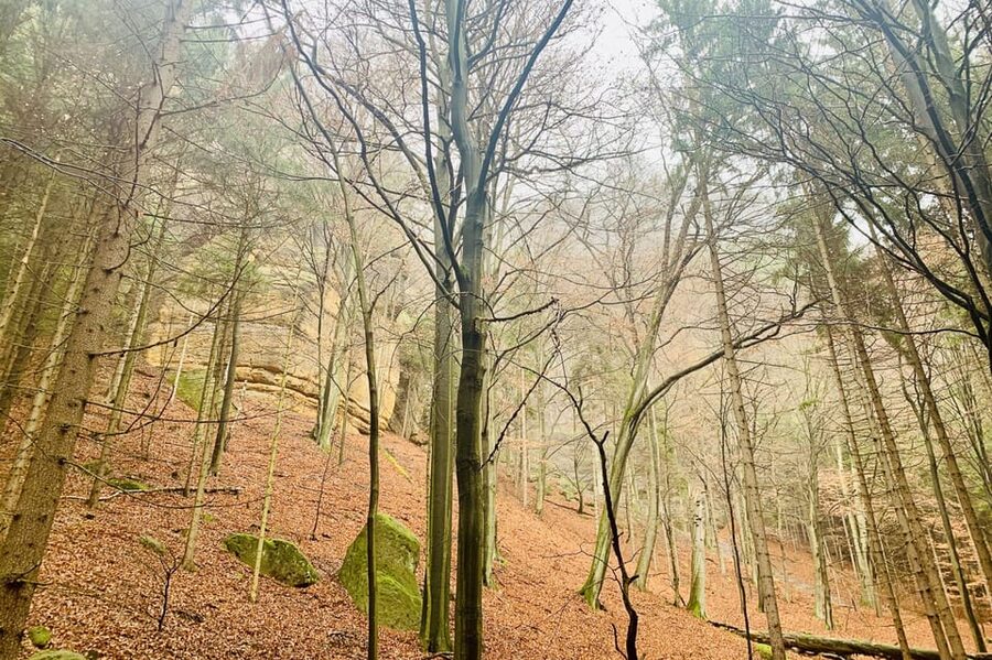 Prague: All-inclusive trip to Bohemian and Saxon Switzerland - A Czech lunch that breaks up the walking