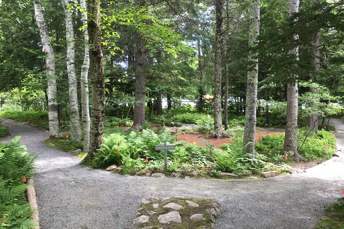 Premium Narrated Bus Tour of Bar Harbor and Acadia National Park (3.5 Hours) - Jordan Pond, with a practical parking caveat