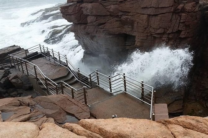 Premium Narrated Bus Tour of Bar Harbor and Acadia National Park (3.5 Hours) - Is $99.36 a fair price?