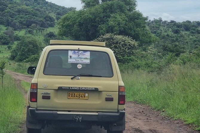 Private 1 Day Akagera Big Five Safari with pick up and lunch. - Booking details worth checking first