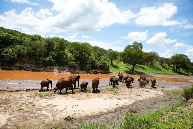 Private 6-Day Tarangire Manyara Crater and Serengeti with Mid-Range Lodges - Key points to know before booking