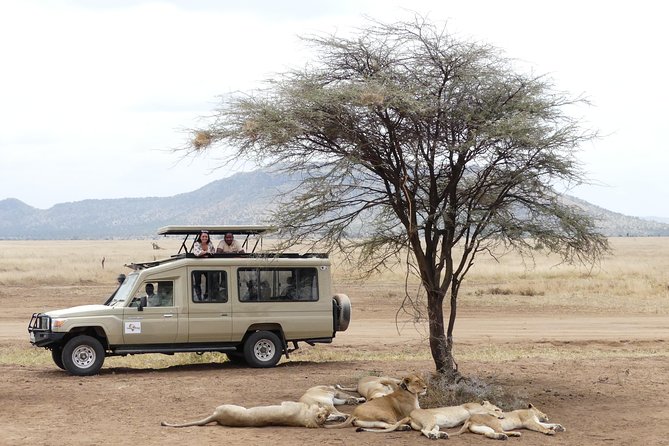 Private 6-Day Tarangire Manyara Crater and Serengeti with Mid-Range Lodges - Why this six-day route works