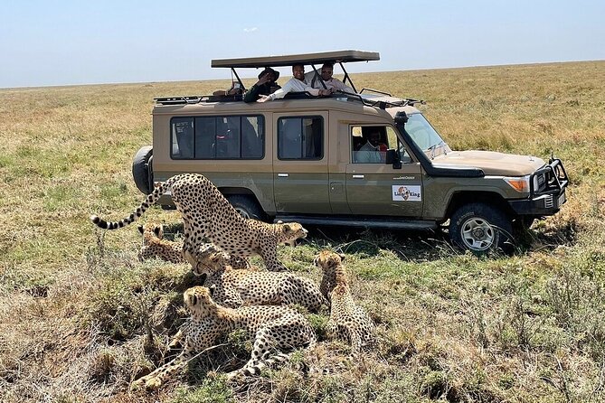 Private 6-Day Tarangire Manyara Crater and Serengeti with Mid-Range Lodges - Day 4: Give the Serengeti the full day