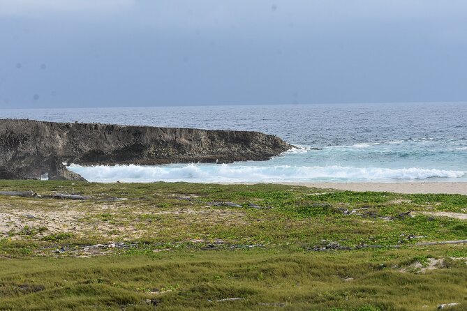 Private Aruba National Park Hiking & Natural Pool Swimming - What makes the private guide worthwhile