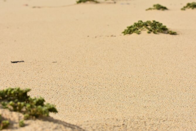 Private Aruba National Park Hiking & Natural Pool Swimming - Fitness, heat, and what to wear