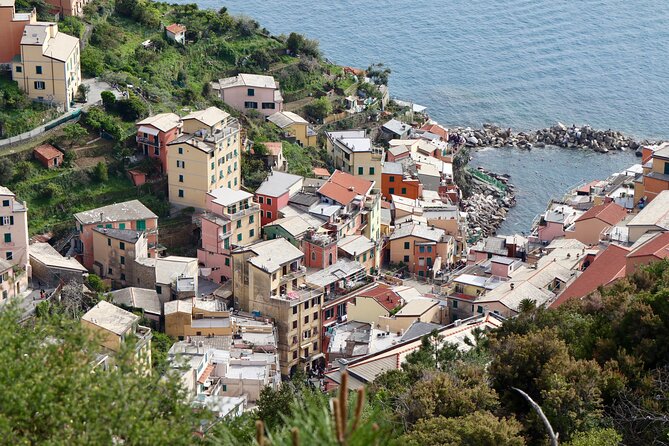 Private Cinque Terre Trek & Tour - Descending into Manarola after the hillside walk