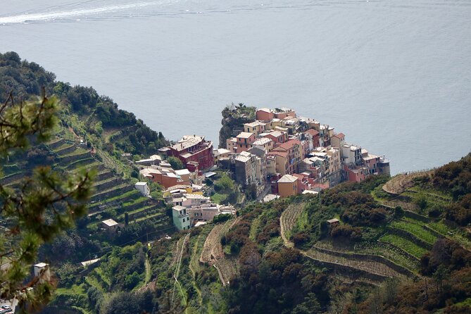 Private Cinque Terre Trek & Tour - Who should book this trek
