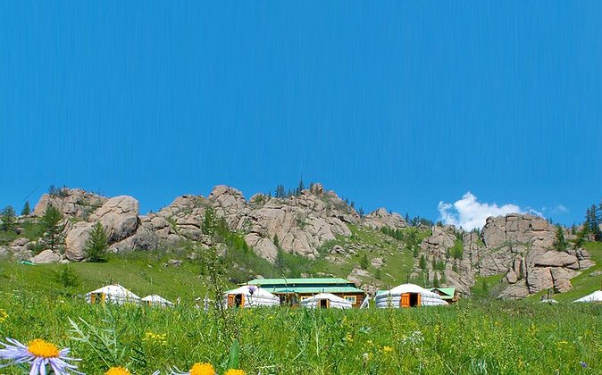 Private Day Tour: Terelj National Park + Genghis Khan's Statue .. - Optional horse riding, camels, eagles, and cashmere