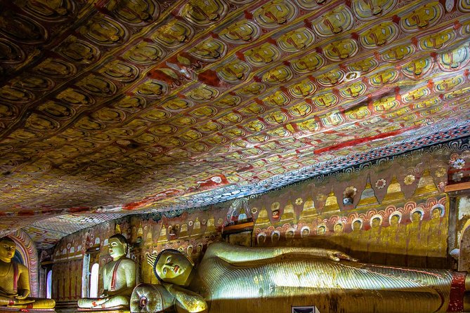 Private Day Trip to Sigiriya, cave and National park Safari Tour - The private car is useful, but comfort varies