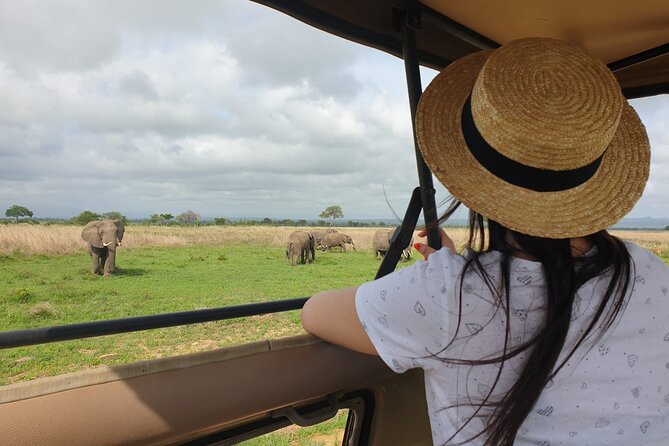 Private Full-Day Trip to Mikumi National Park from Dar es Salaam - A full safari day from Dar es Salaam