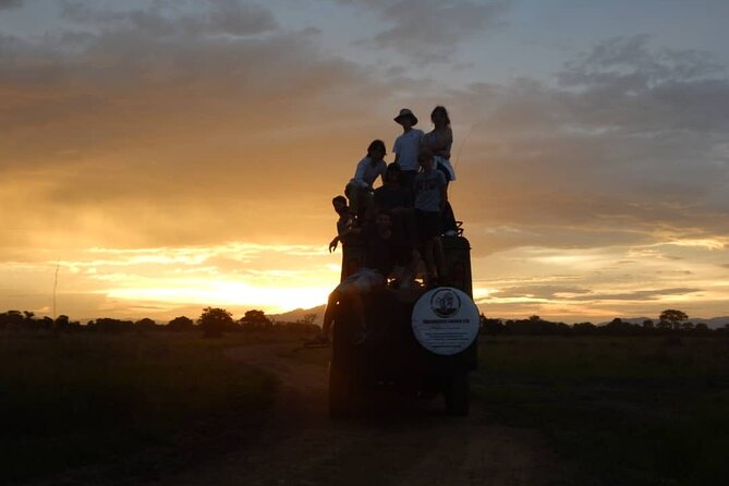 Private Full-Day Trip to Mikumi National Park from Dar es Salaam - Lunch, water, and what to bring
