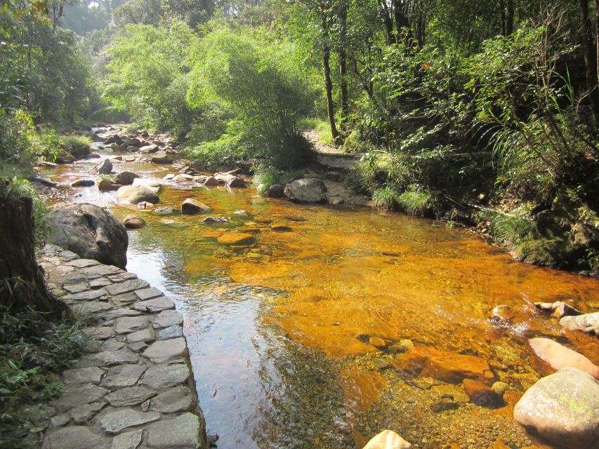 Private Hoang Lien National Park & Tribal Village Trek - Picnic lunch around 12:30 PM