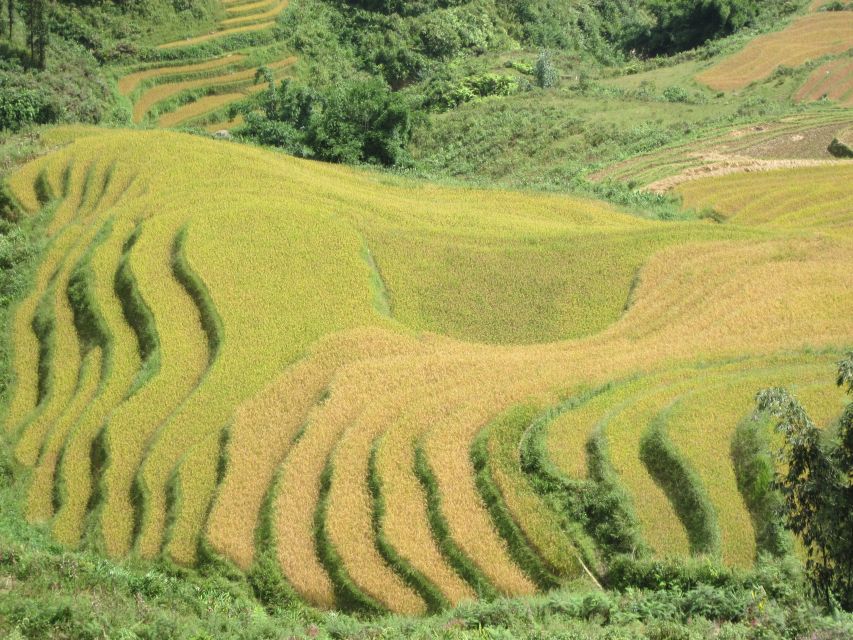 Private Hoang Lien National Park & Tribal Village Trek - Sin Chai and the Black Hmong community