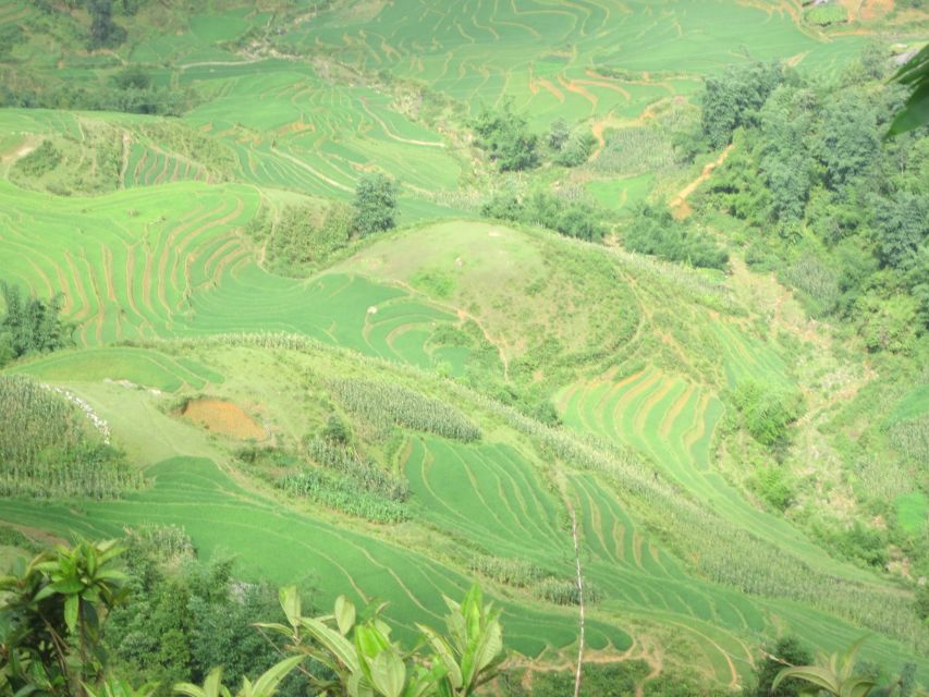 Private Hoang Lien National Park & Tribal Village Trek - Returning to Sa Pa by mid-afternoon