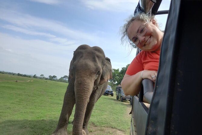 Private Jeep Safari at Minneriya National Park to Visit Elephants - What the $36 price really covers