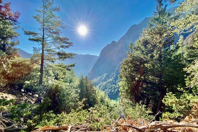 Private Roundtrip Transfer from Chania to Samaria Gorge Park - Ferry from Agia Roumeli to Chora Sfakion