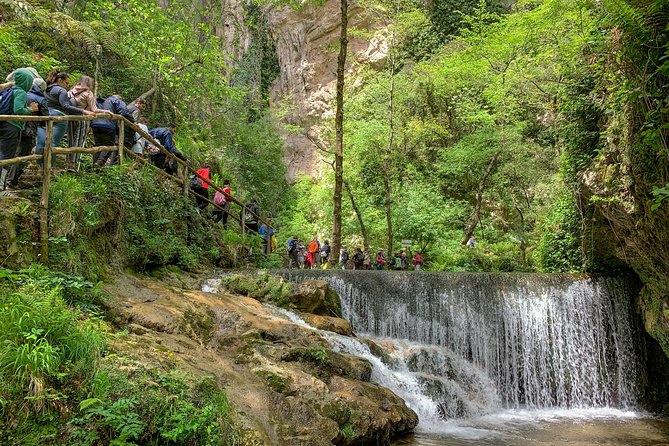 Private Tour: Amalfi Valle delle Ferriere Nature Reserve Walking Tour - Following the Canneto River Through Valle delle Ferriere
