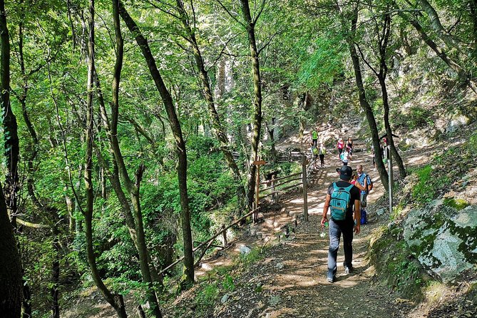 Private Tour: Amalfi Valle delle Ferriere Nature Reserve Walking Tour - How Hard Is the Four-Hour Walk?
