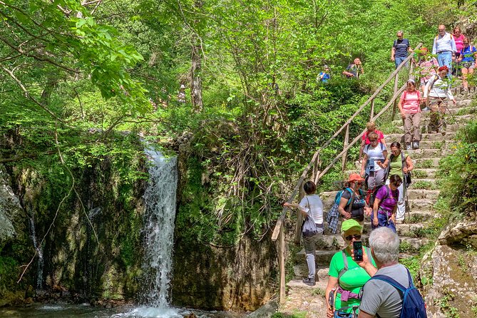 Private Tour: Amalfi Valle delle Ferriere Nature Reserve Walking Tour - Guides Who Add Local Detail