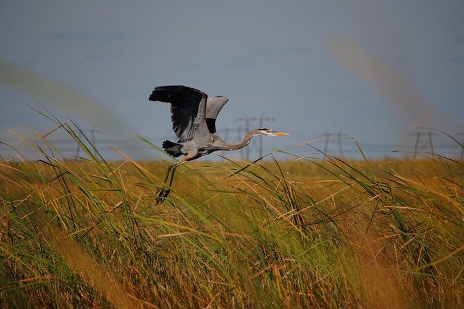 Private Tour: Florida Everglades Airboat Ride and Wildlife Adventure - Is the $140.25 price good value?