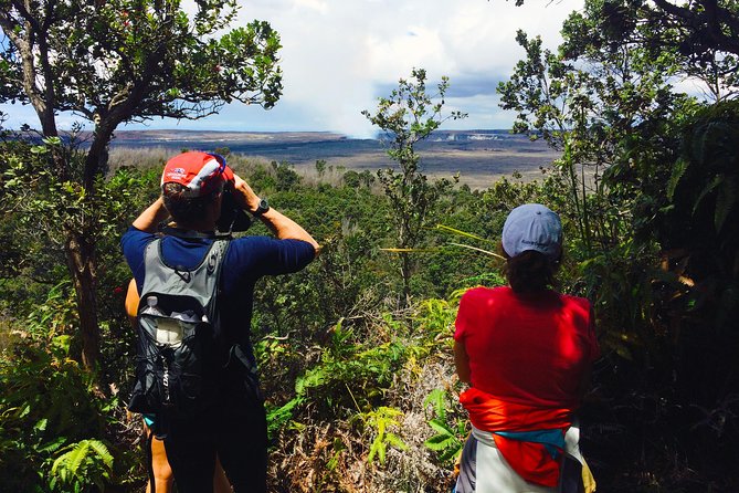 Private Tour: Hawaii Volcanoes National Park Eco Tour - Why a guide changes the park