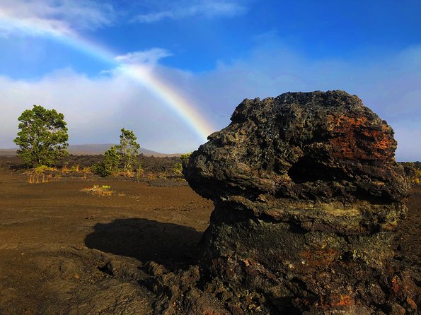 Private Tour: Hawaii Volcanoes National Park Eco Tour - Starting at Volcano House and the steam vents