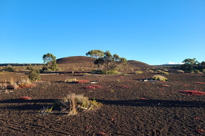 Private Tour of Hawaii Volcanoes National Park - The value of Scott’s guiding style