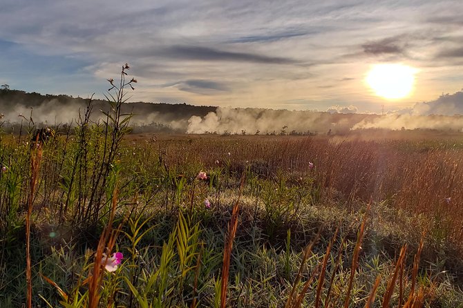 Private Tour of Hawaii Volcanoes National Park - What the tour does not include