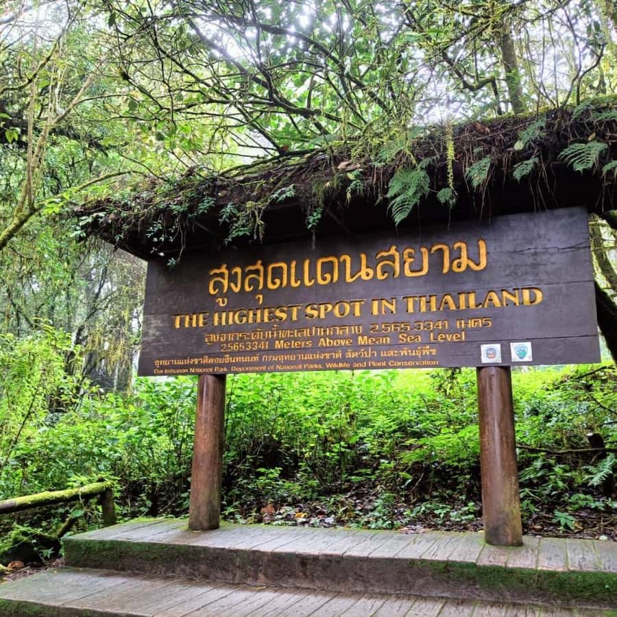 Private Tour Pha Chor Canyon & Doi Inthanon National Park - King and Queen pagodas above the clouds