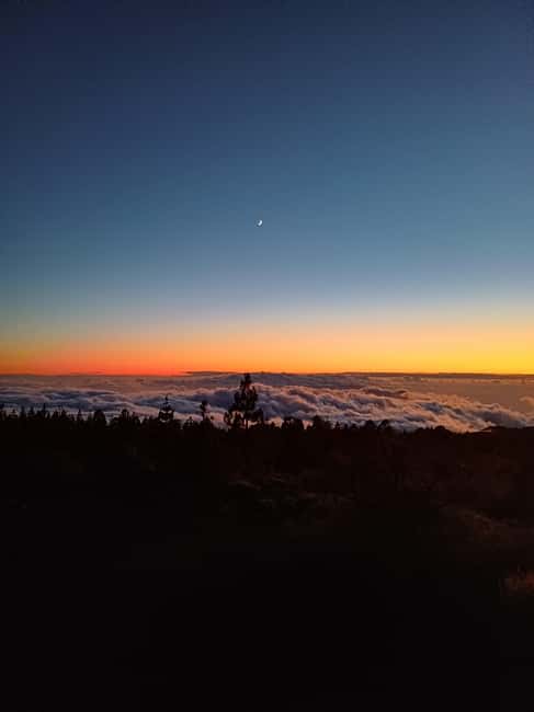 Private tour Tenerife: Teide National Park + Restaurant - Walking through volcanic terrain at 2,250 meters