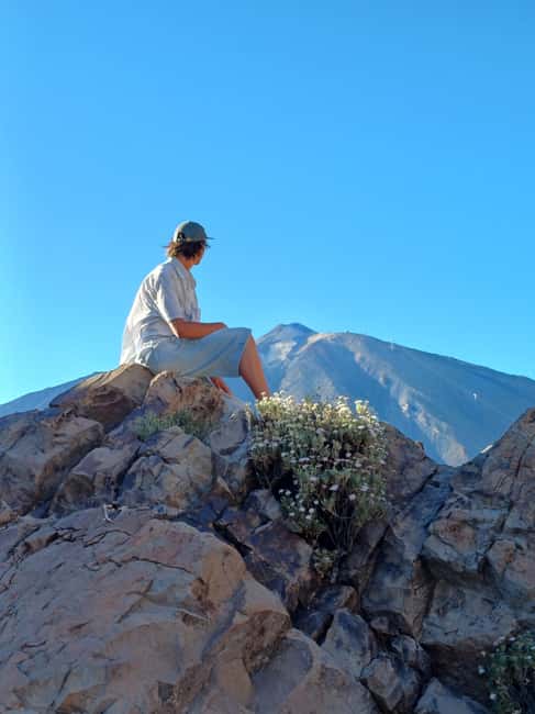 Private tour Tenerife: Teide National Park + Restaurant - Two viewpoints for photos and wide views