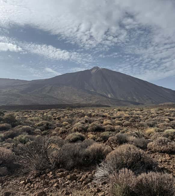 Private tour Tenerife: Teide National Park + Restaurant - From Playa de las Américas to the high country