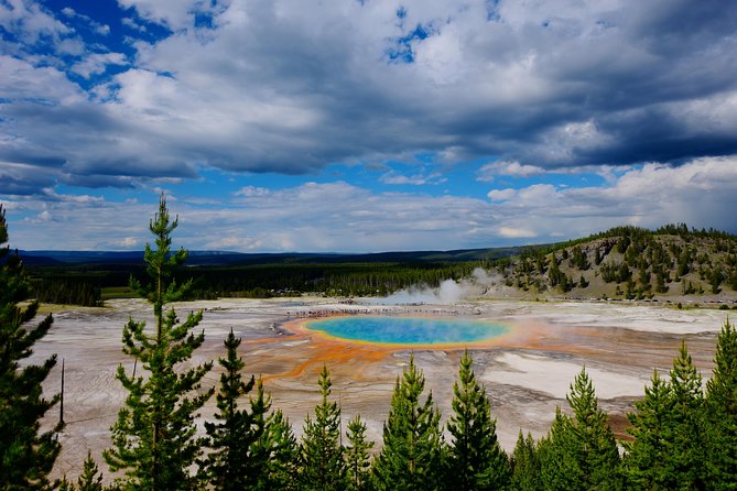 Private Yellowstone Tour: ICONIC Sites, Wildlife, Family Friendly Hikes + lunch - Lower Yellowstone Falls and the Grand Canyon