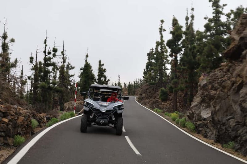 Puerto de la Cruz: Teide National Park Buggy Tour - What driving the buggy is really like