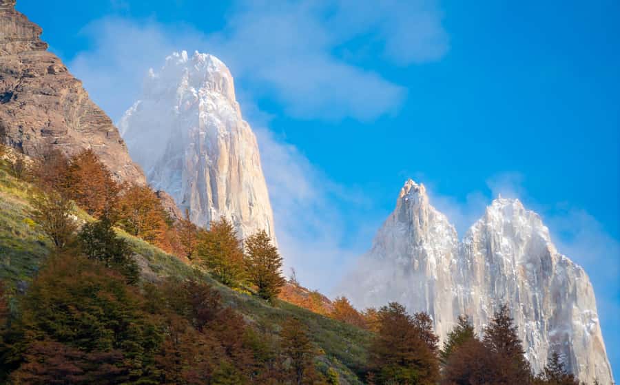 Puerto Natales: Base of the Towers Trekking Experience - What the $95 price really covers