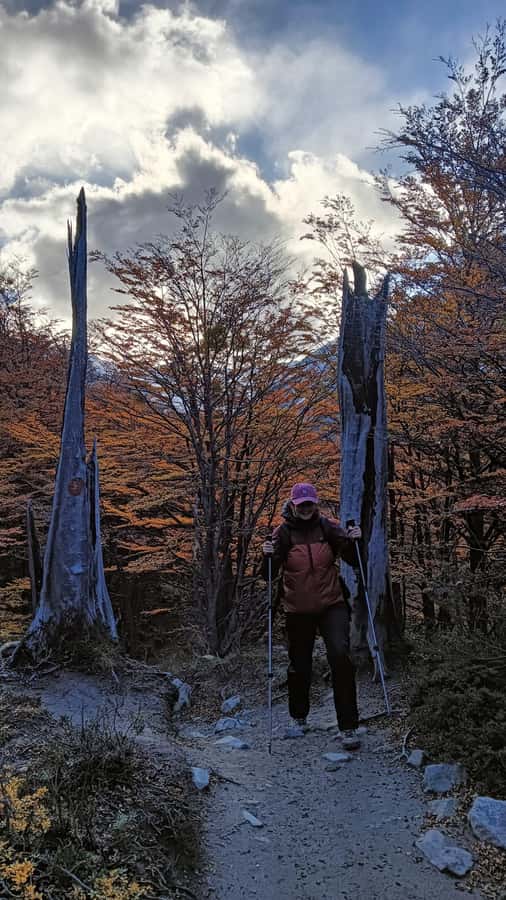 Puerto Natales: Base of the Towers Trekking Experience - Guides, pacing, and group comfort